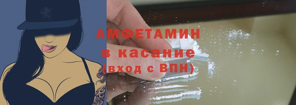 гидра Аркадак