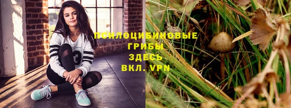 дурь Алексин