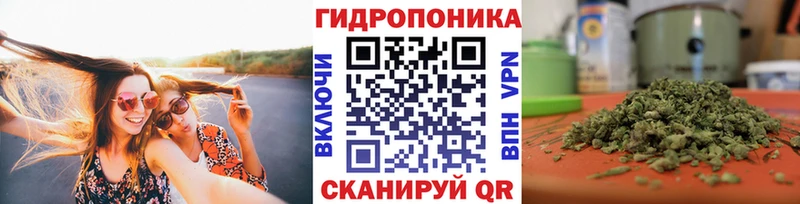 магазин  наркотиков  кракен ссылки  Канабис индика  Оленегорск 